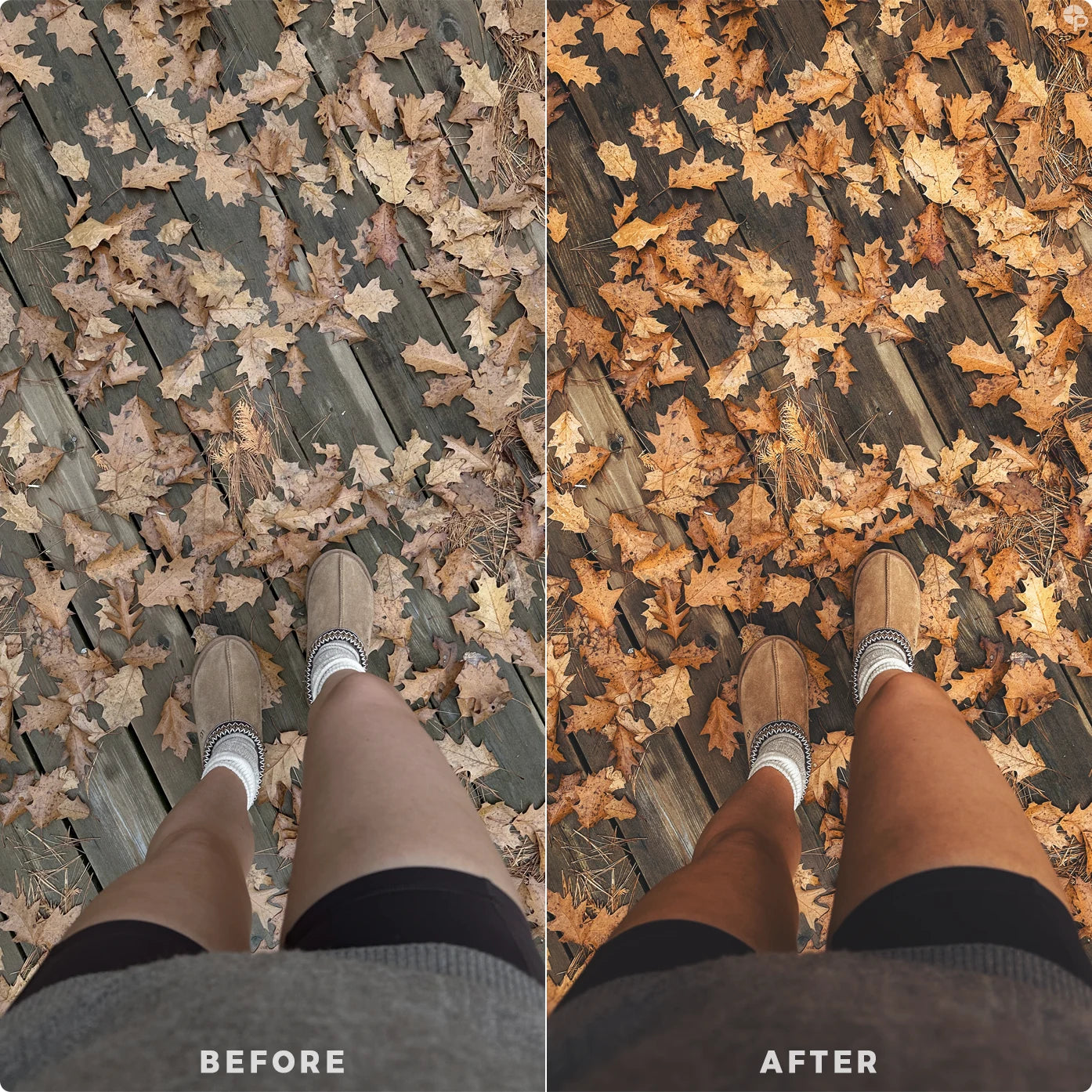 Autumn's Magic | Lightroom Presets
