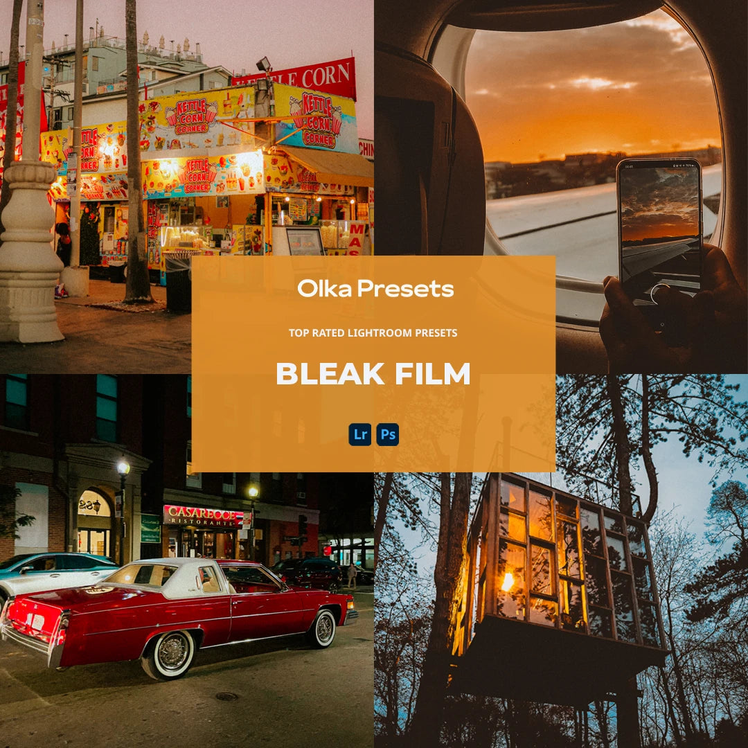 Bleak Film | Cinematic Presets