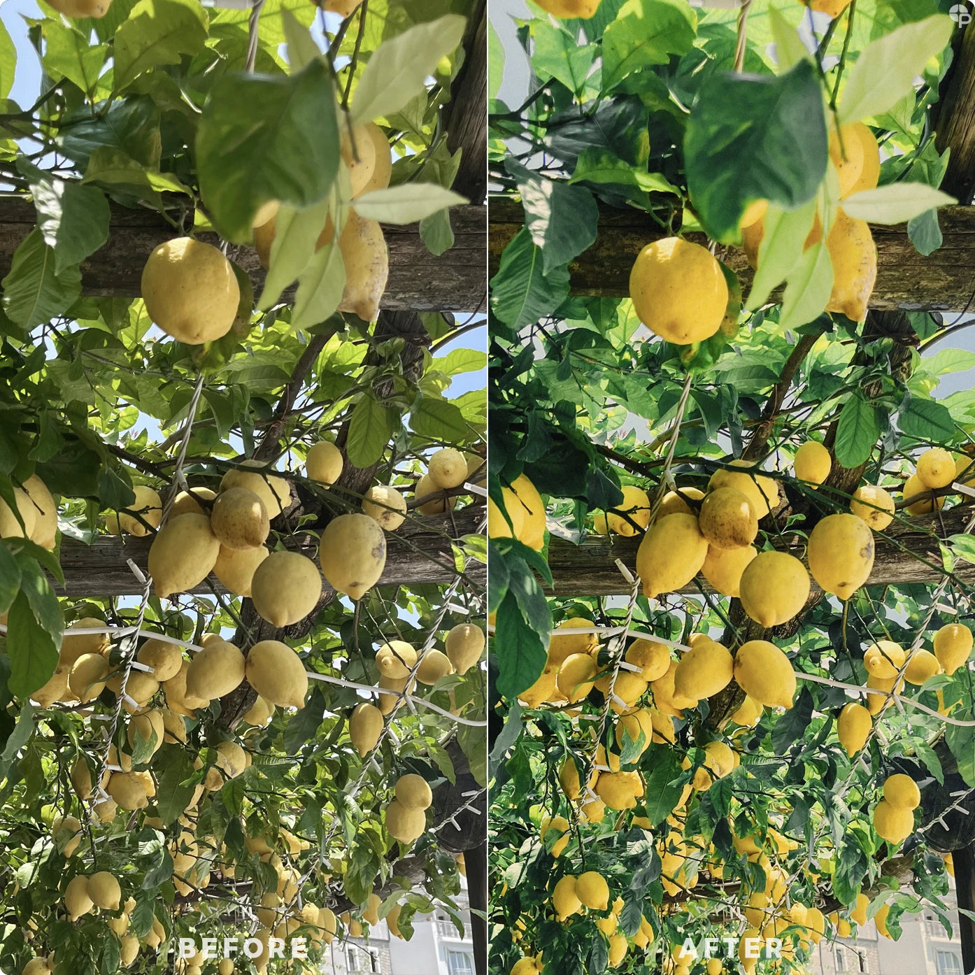 Citron | Lightroom Presets