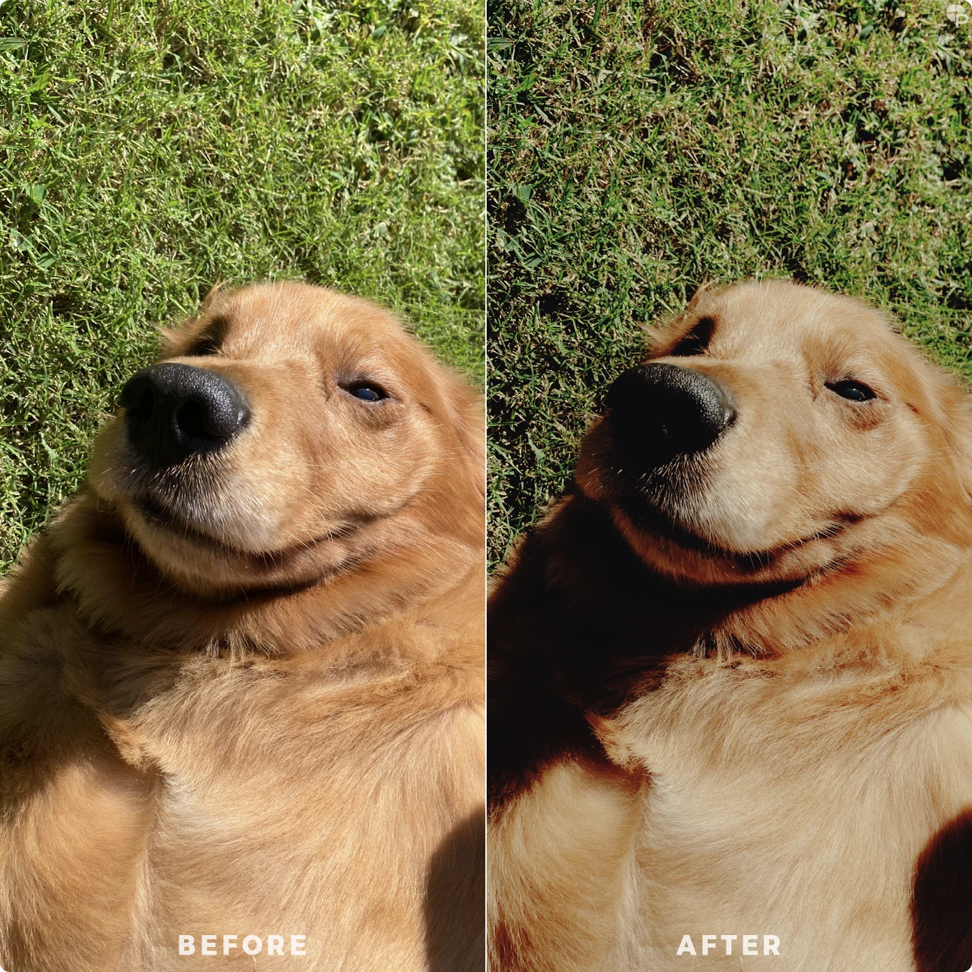 Cream | Lightroom Presets