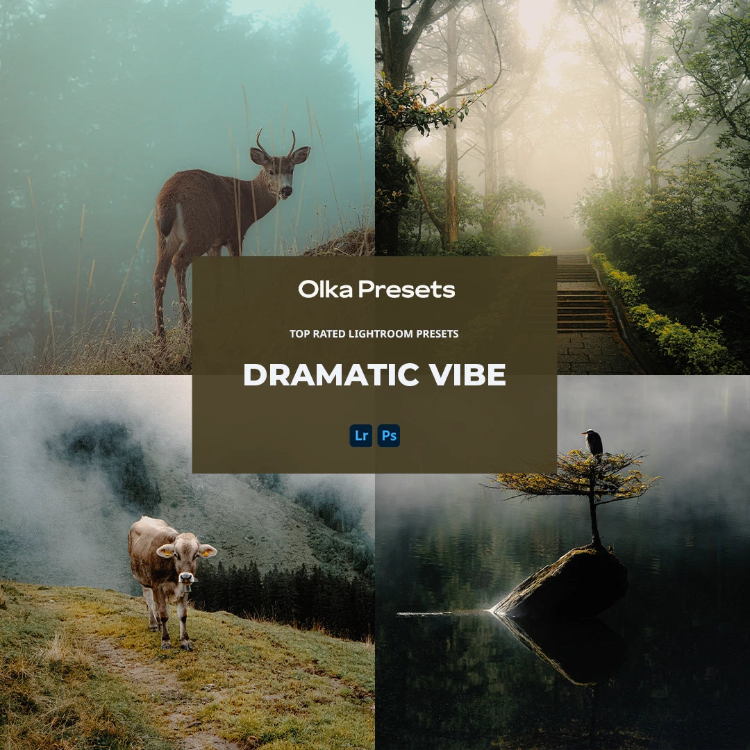Dramatic vibe | Lightroom Presets