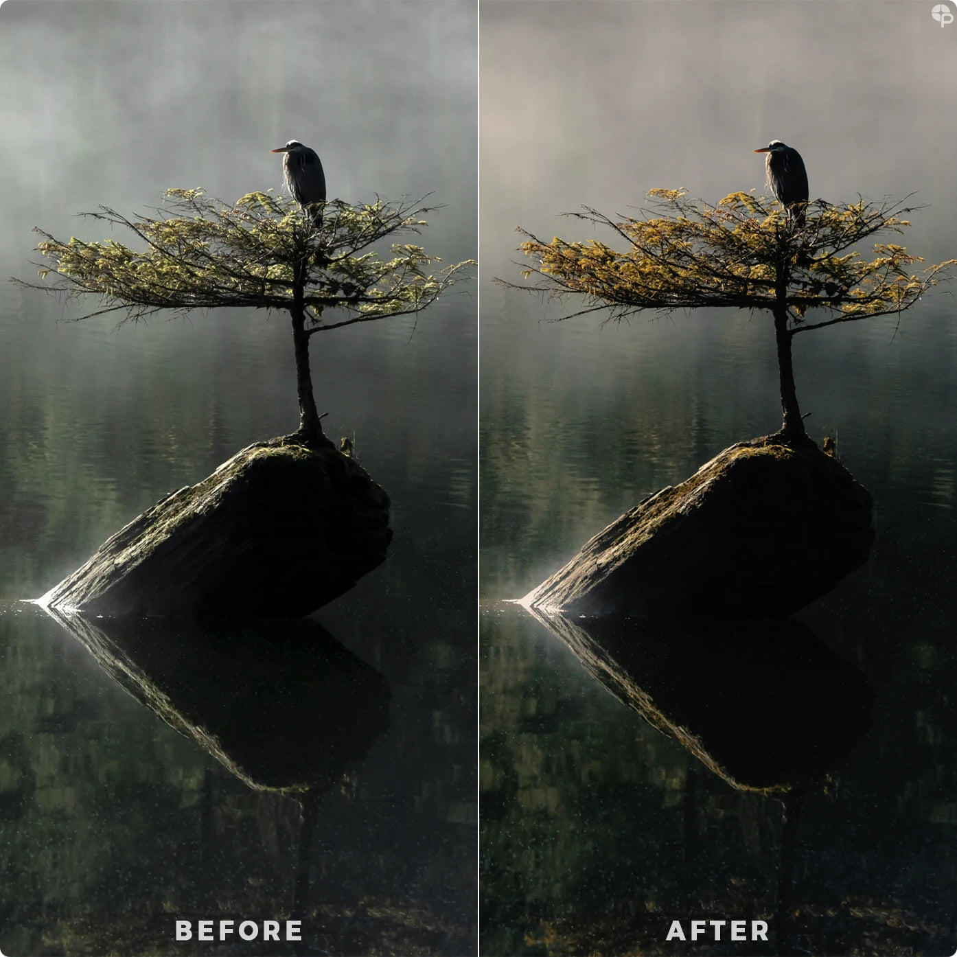 Dramatic vibe | Lightroom Presets