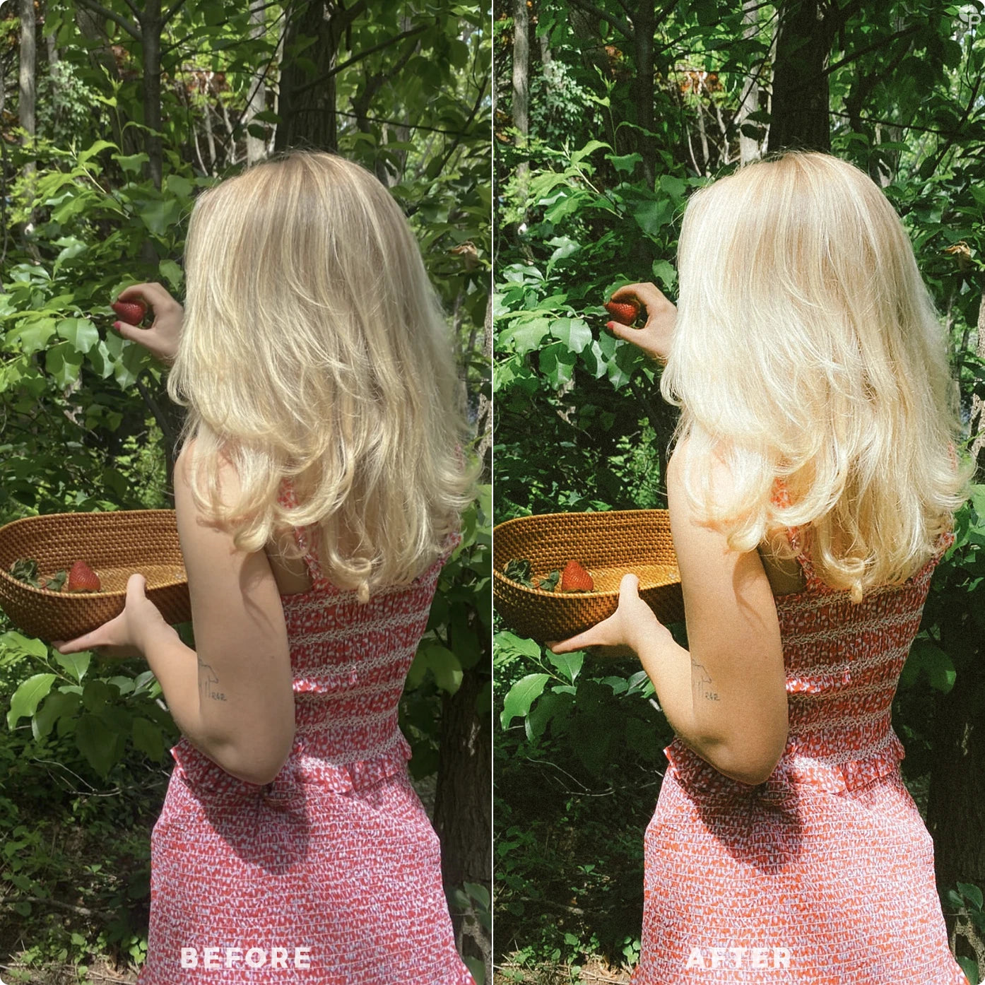 Dreamy green | Lightroom Presets