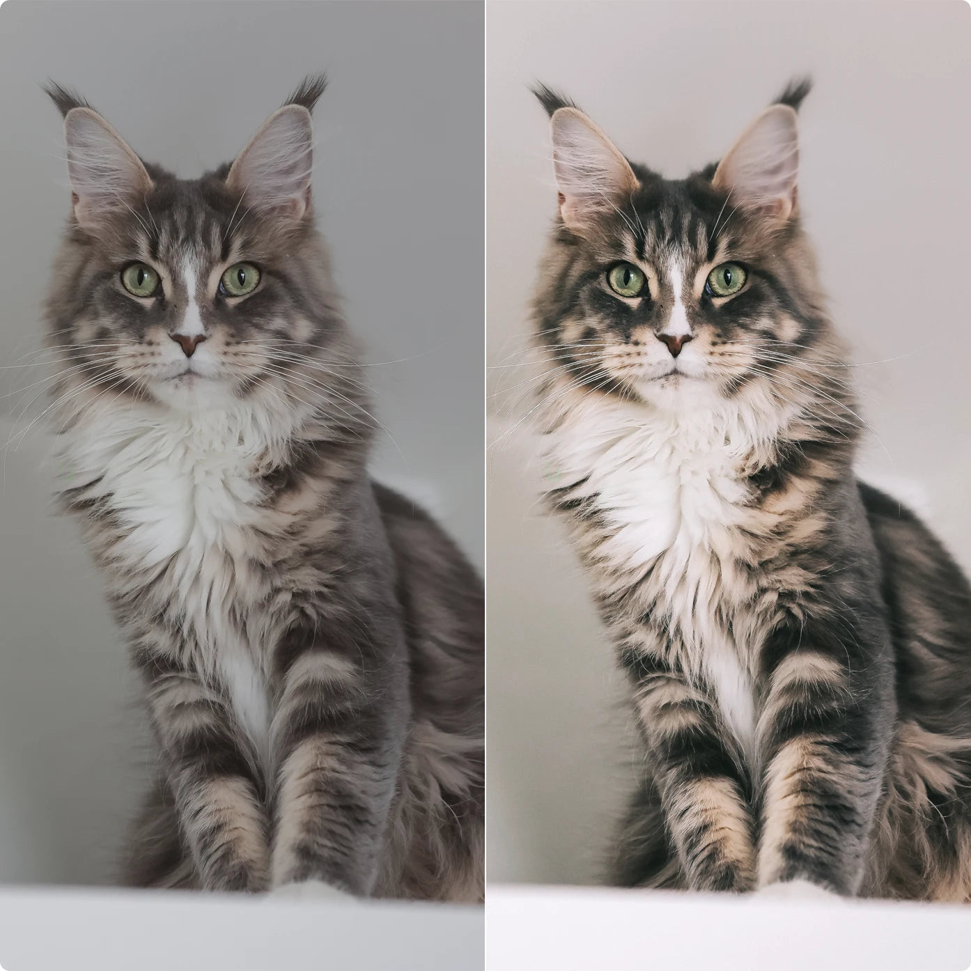 Natural | Lightroom Presets