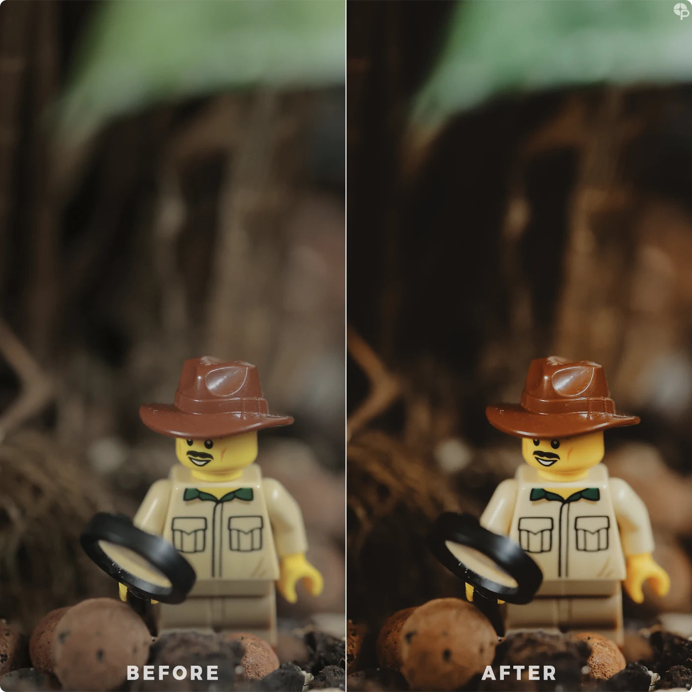 New Expedition | Lightroom Presets