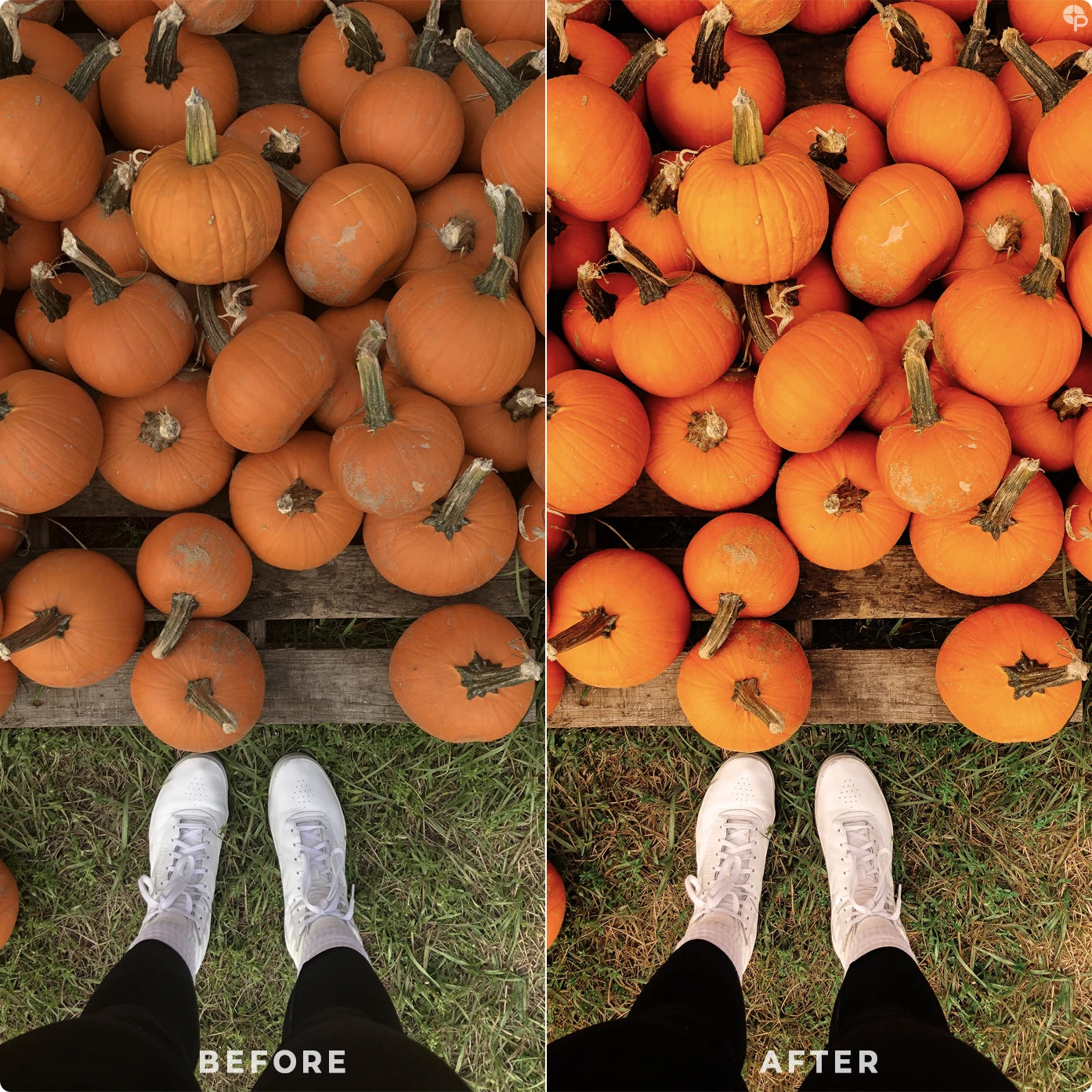 Pumpkin Spice | Lightroom Presets