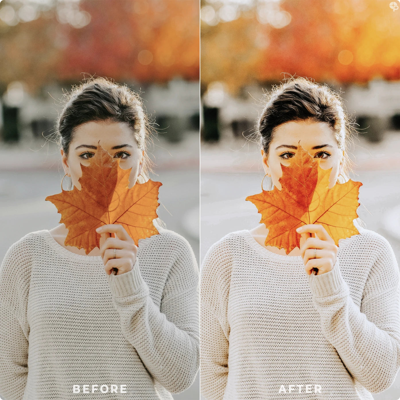 Pumpkin Spice | Lightroom Presets