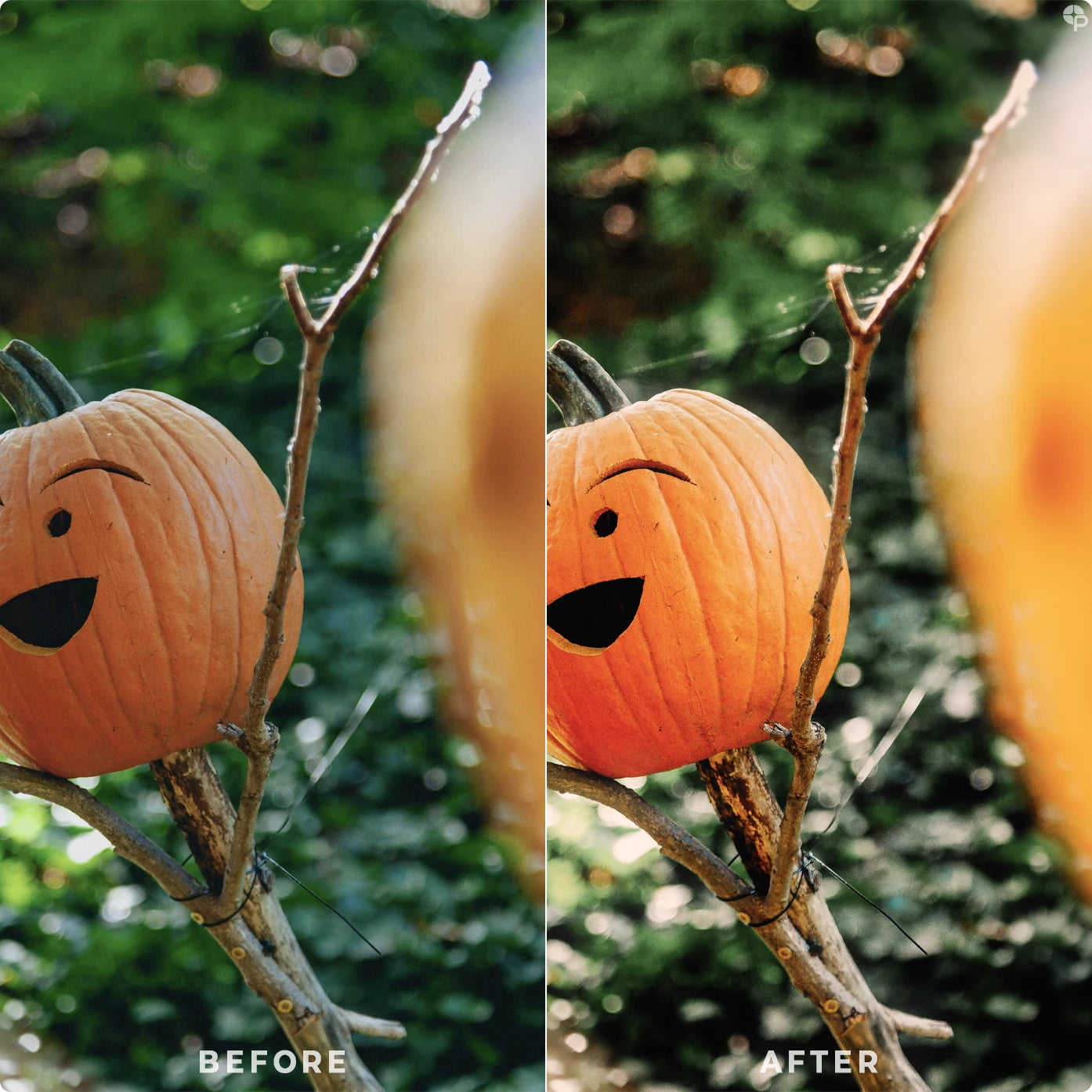 Pumpkin Spice | Lightroom Presets
