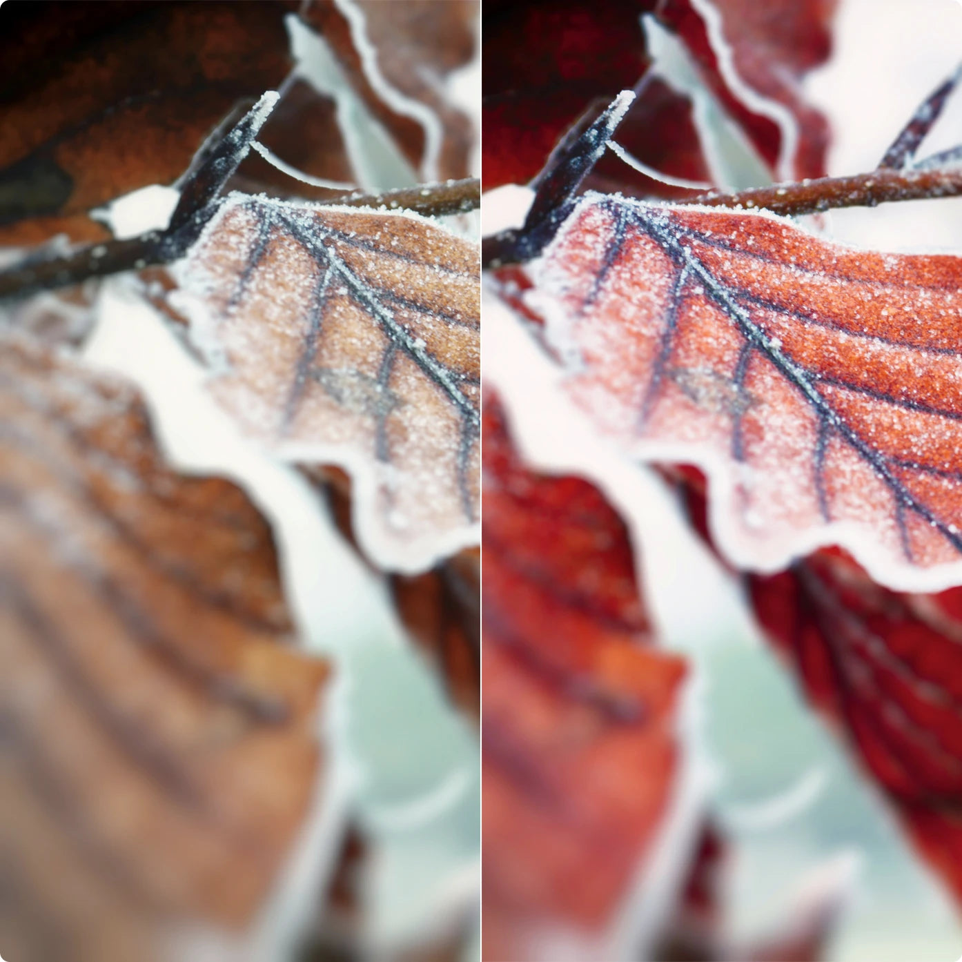 Red World | Lightroom Presets