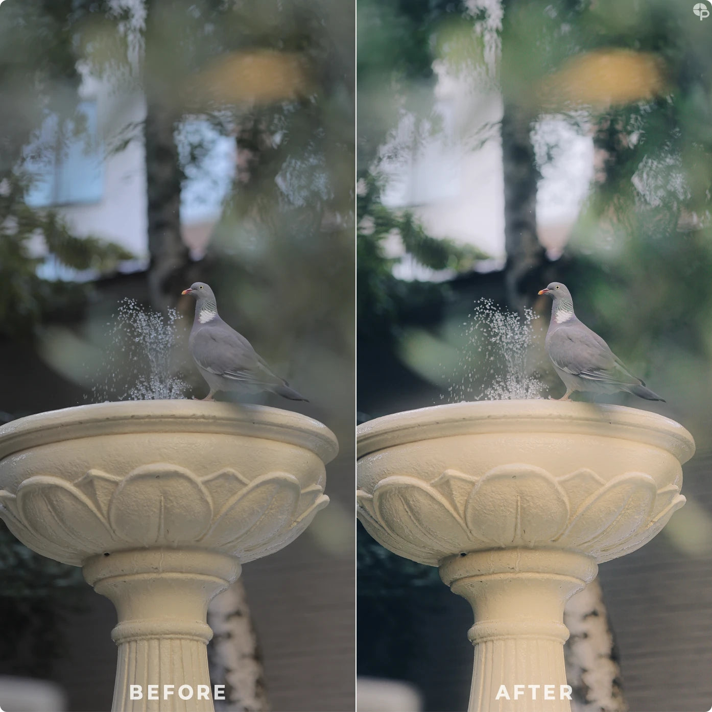 Soft&Airy | Lightroom Presets