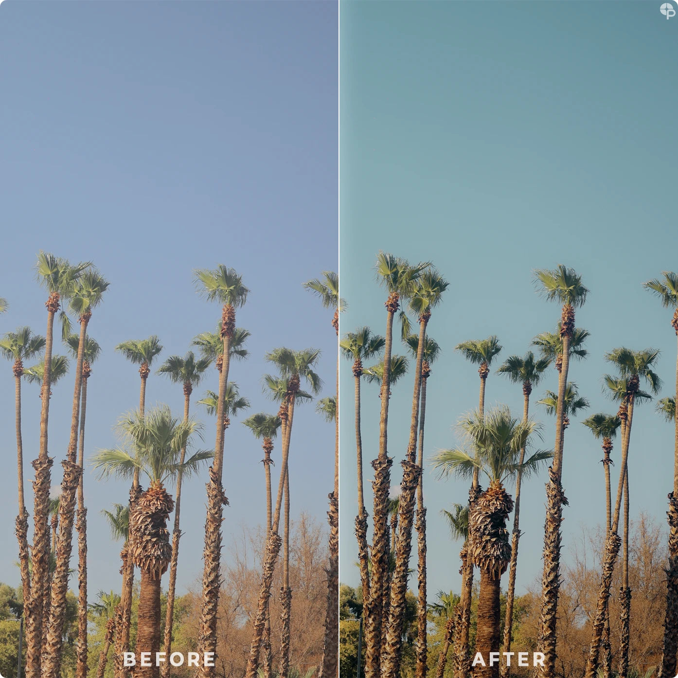 Teal&Orange | Lightroom Presets