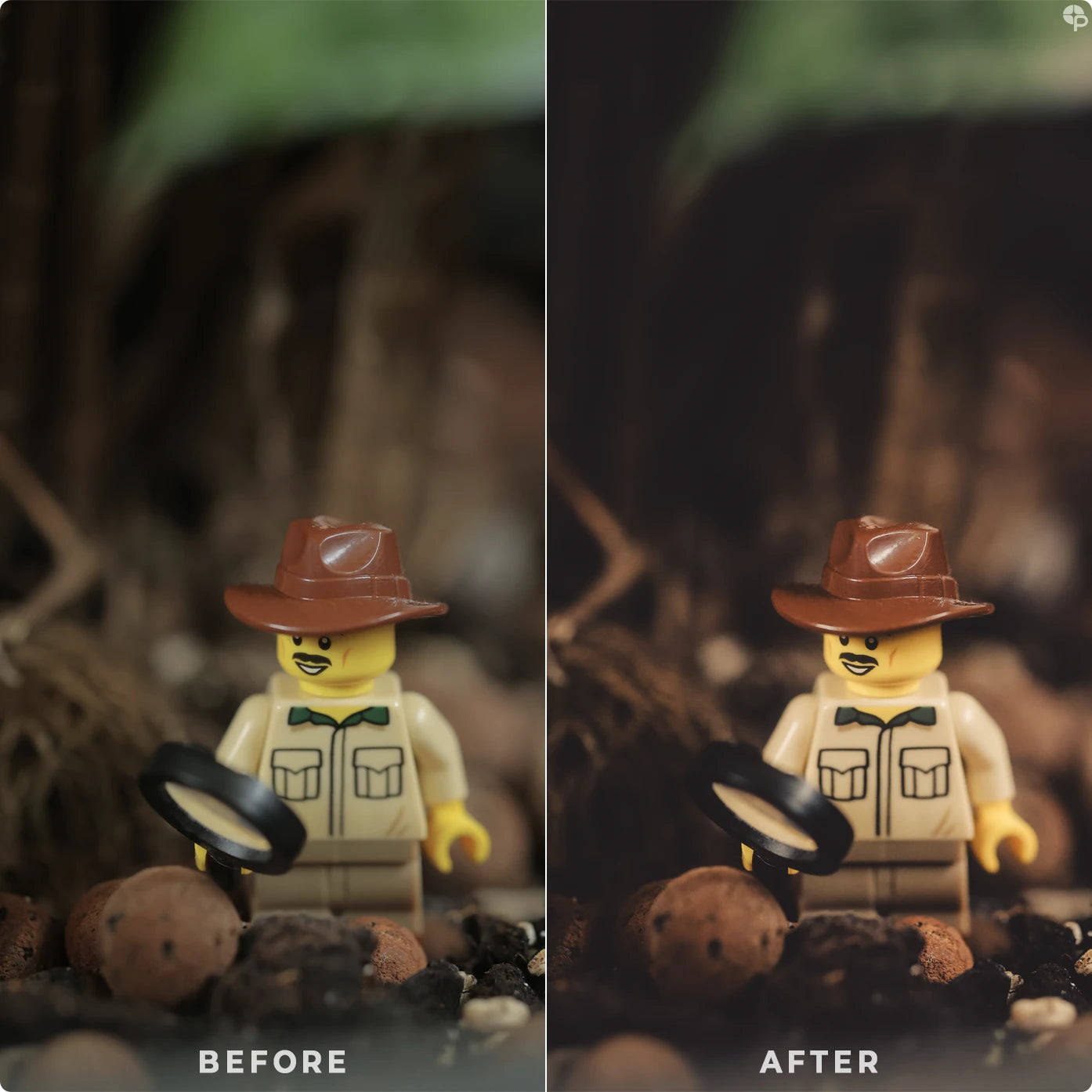 Terra Tones | Lightroom Presets