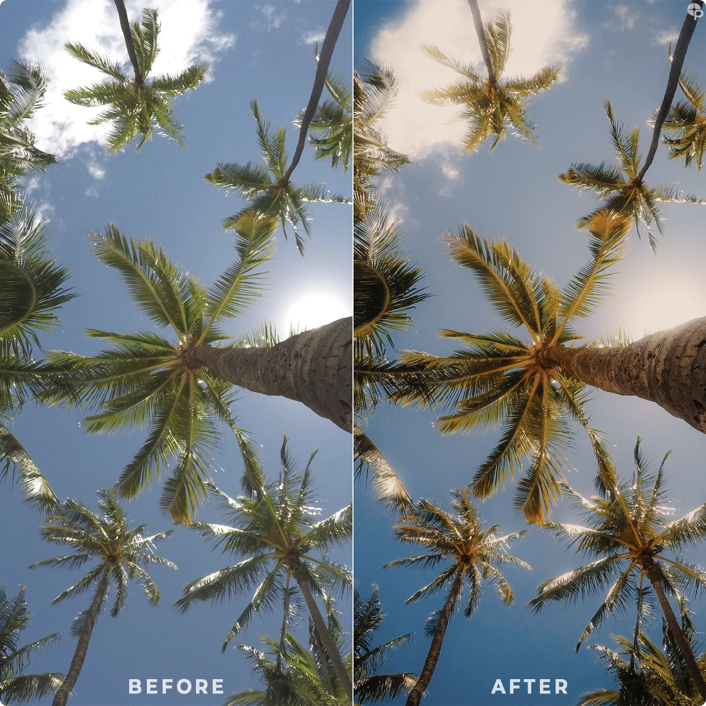 Tropical | Lightroom Presets