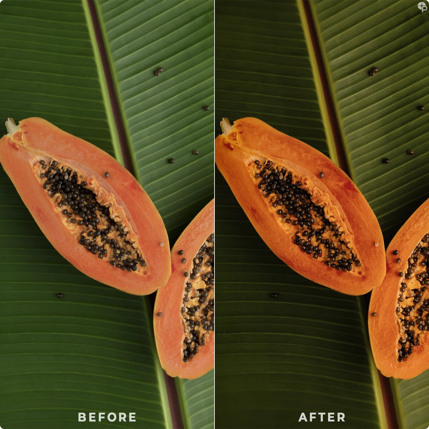 Tropical | Lightroom Presets