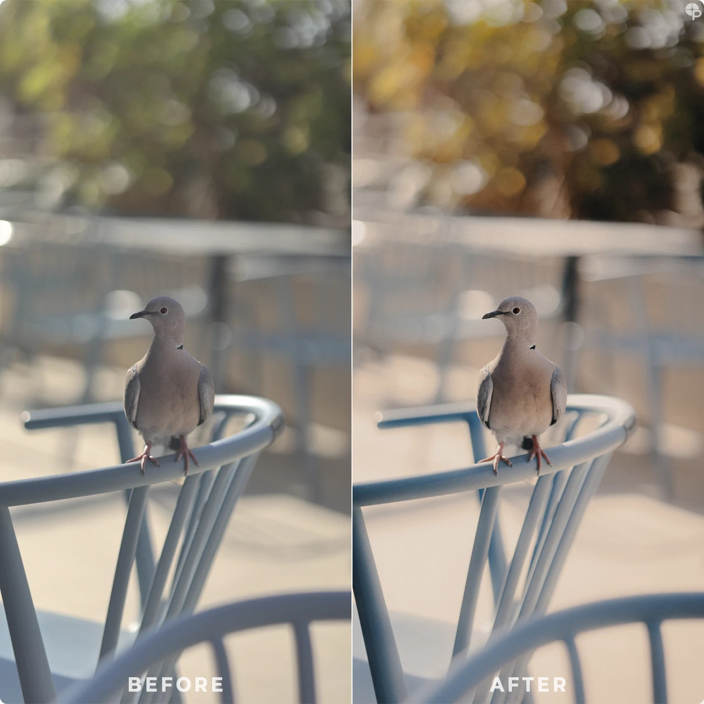 Vintage cinematic | Lightroom Presets