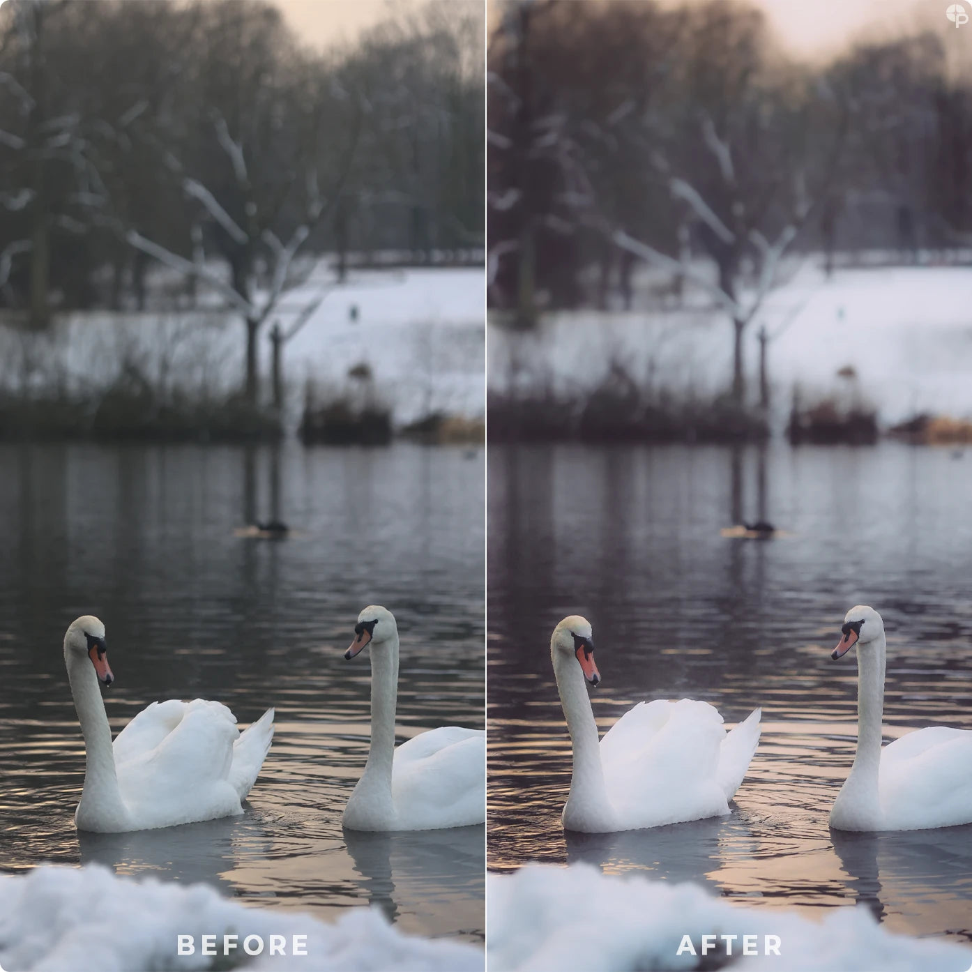 Winter Mist | Lightroom Presets