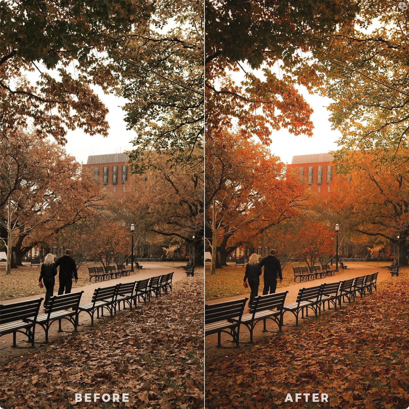 Autumn's Magic | Lightroom Presets
