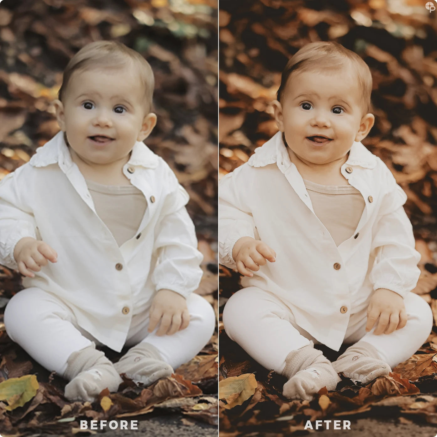 Autumn's Magic | Lightroom Presets