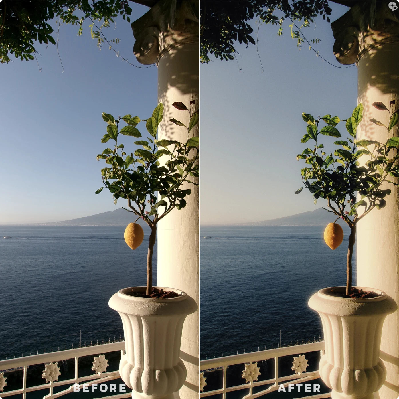 Citron | Lightroom Presets