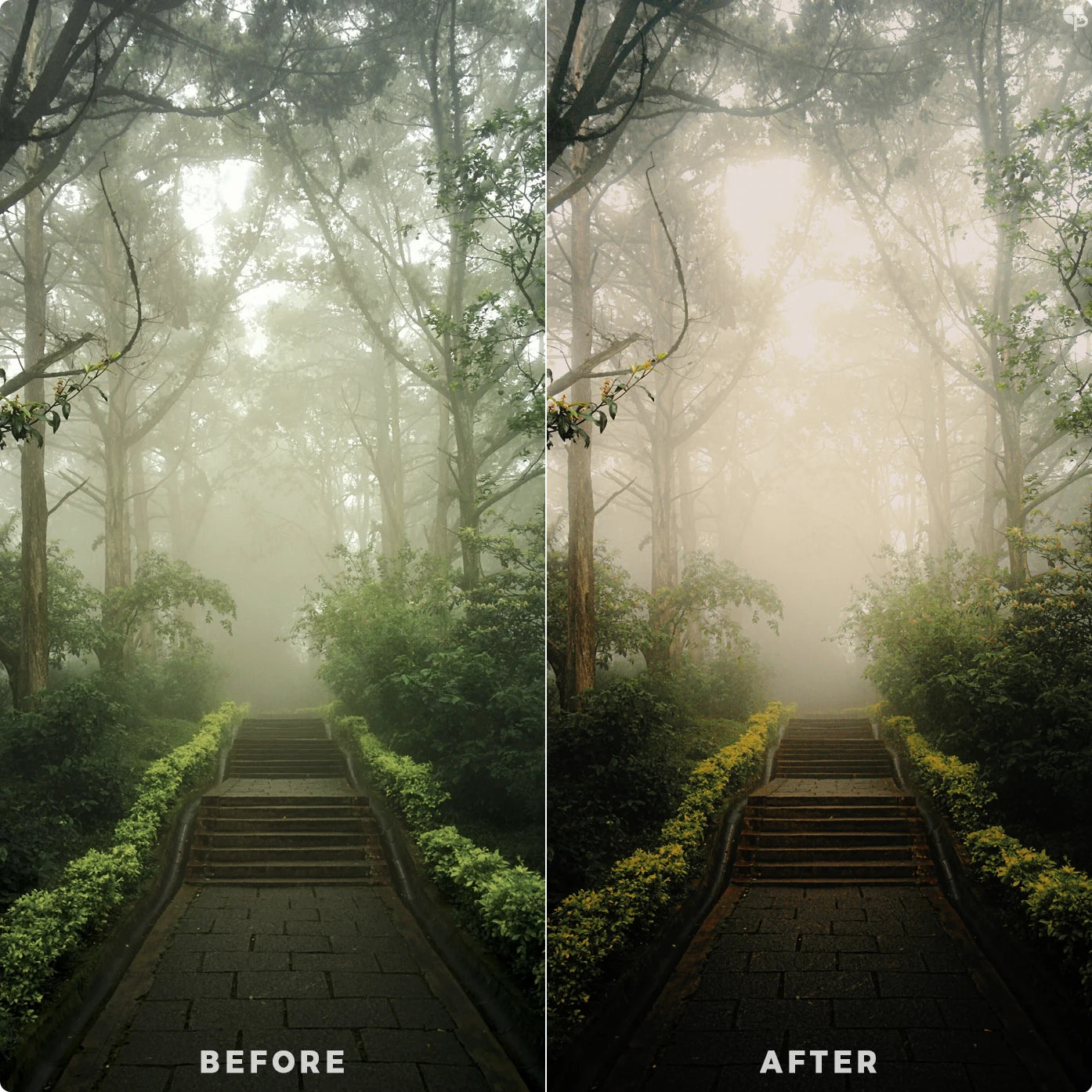 Dramatic vibe | Lightroom Presets