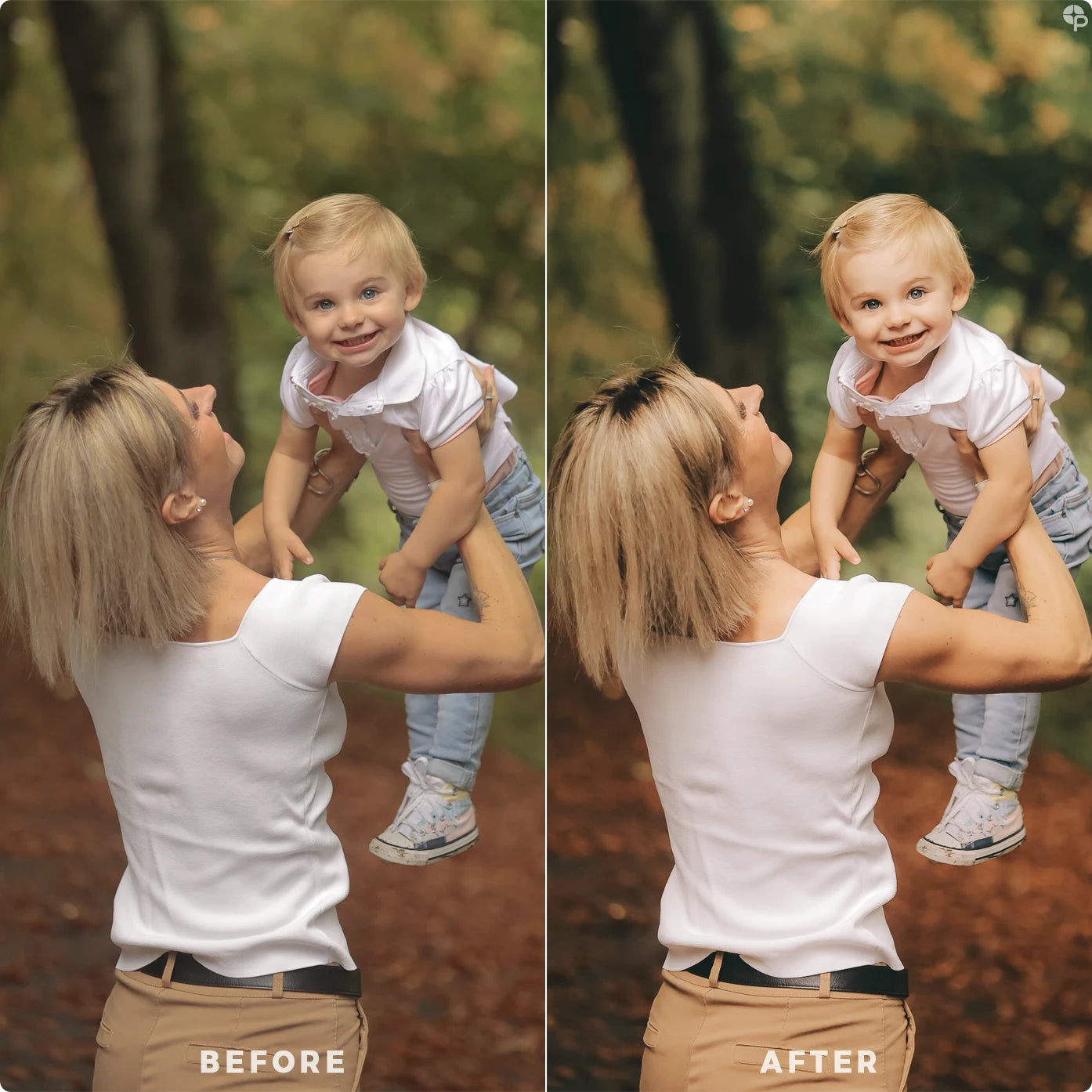 Everyday | Lightroom Presets