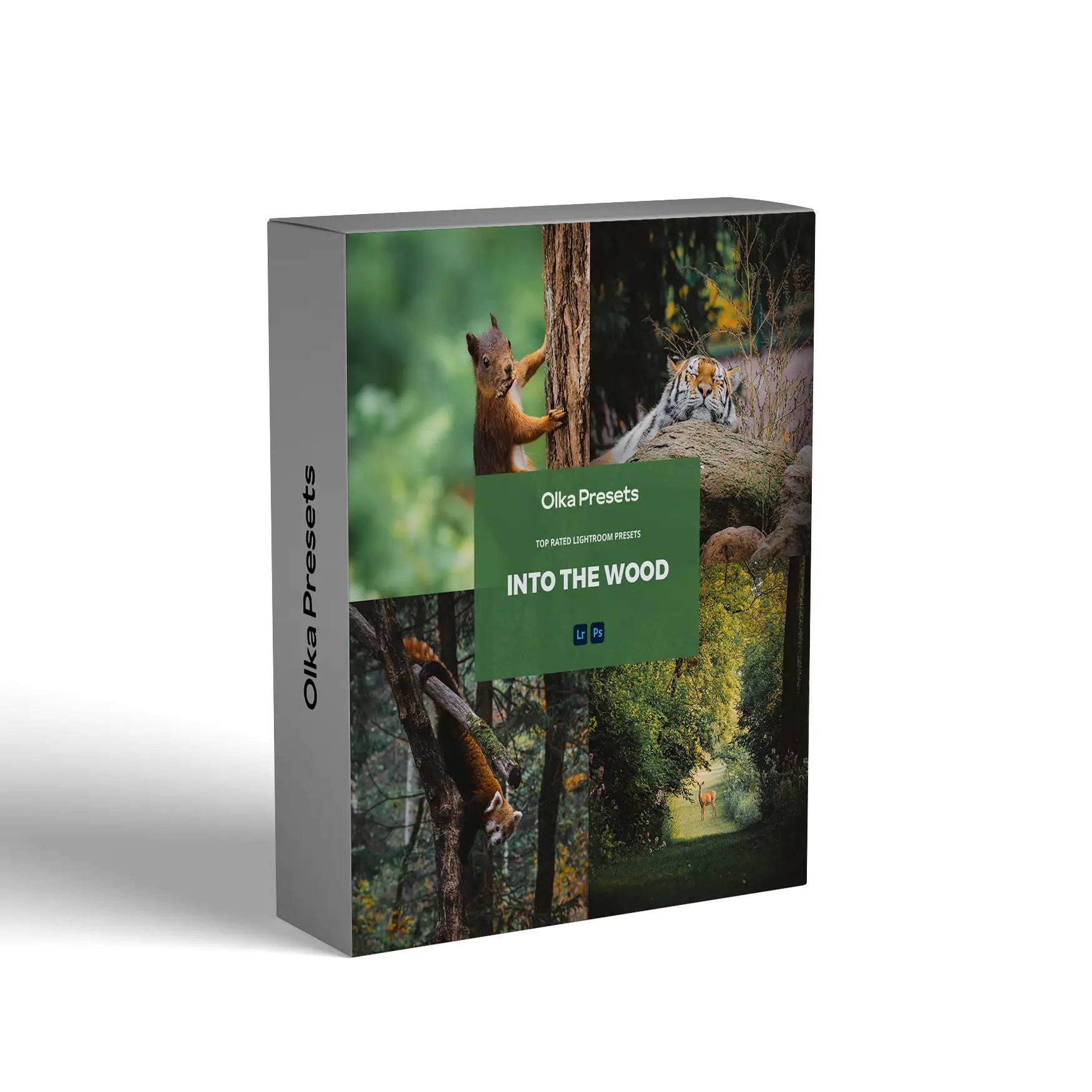 Into the wood | Lightroom Presets