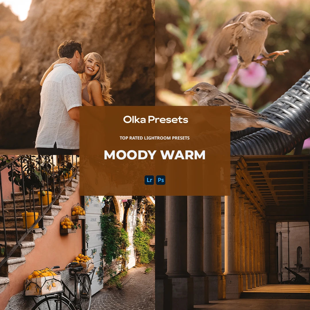 Moody warm | Lightroom Presets