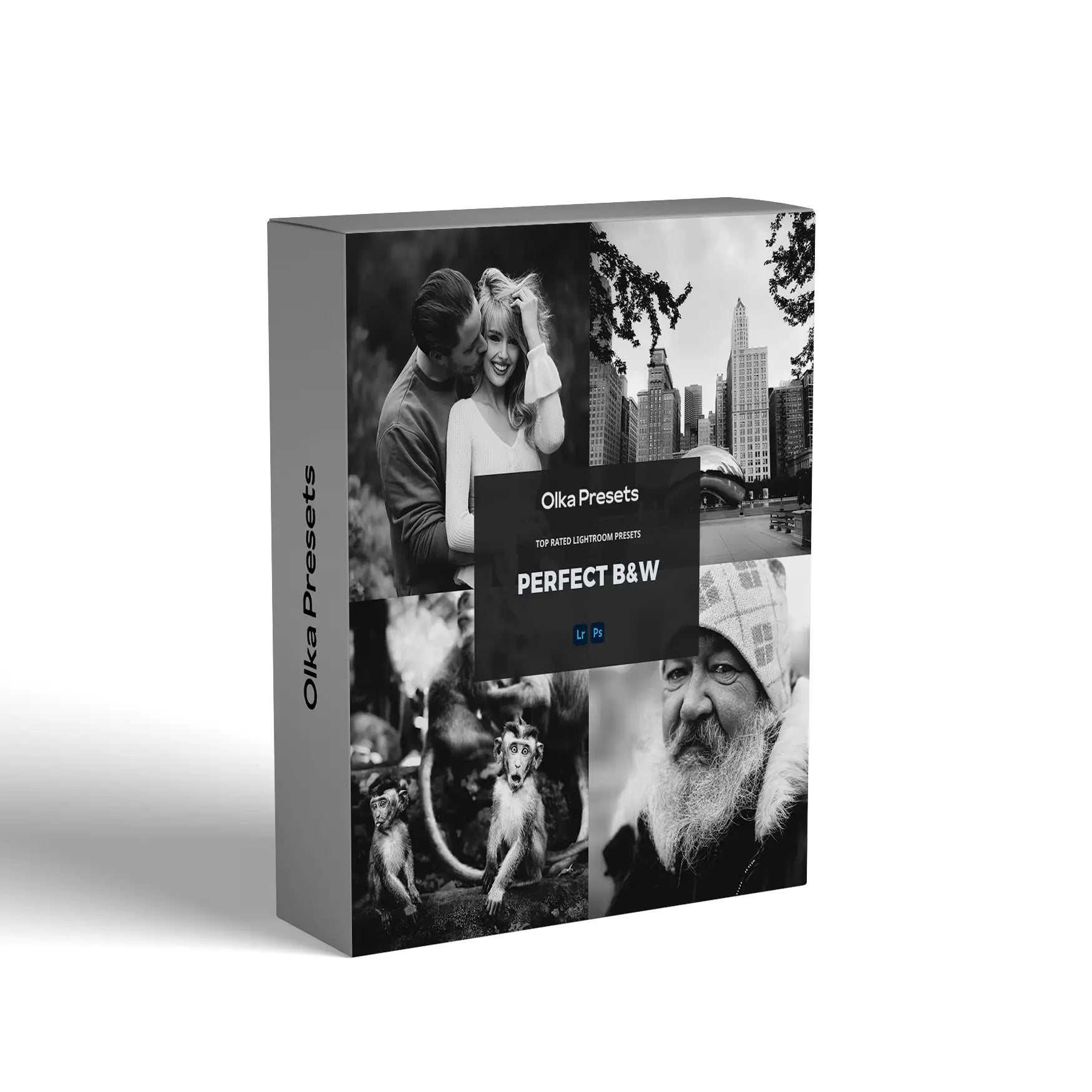 Perfect B&W | Lightroom Presets