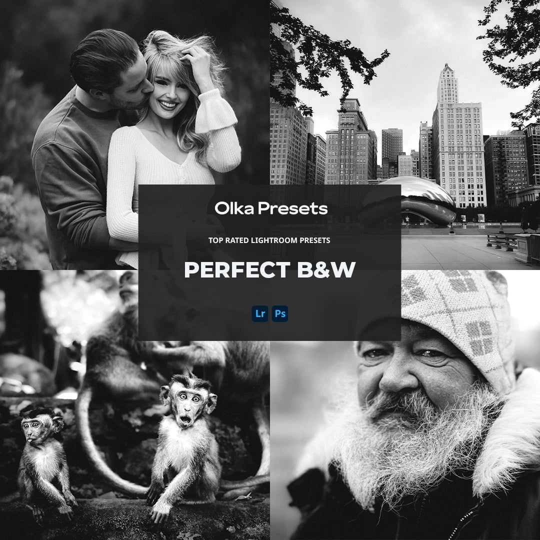 Perfect B&W | Lightroom Presets