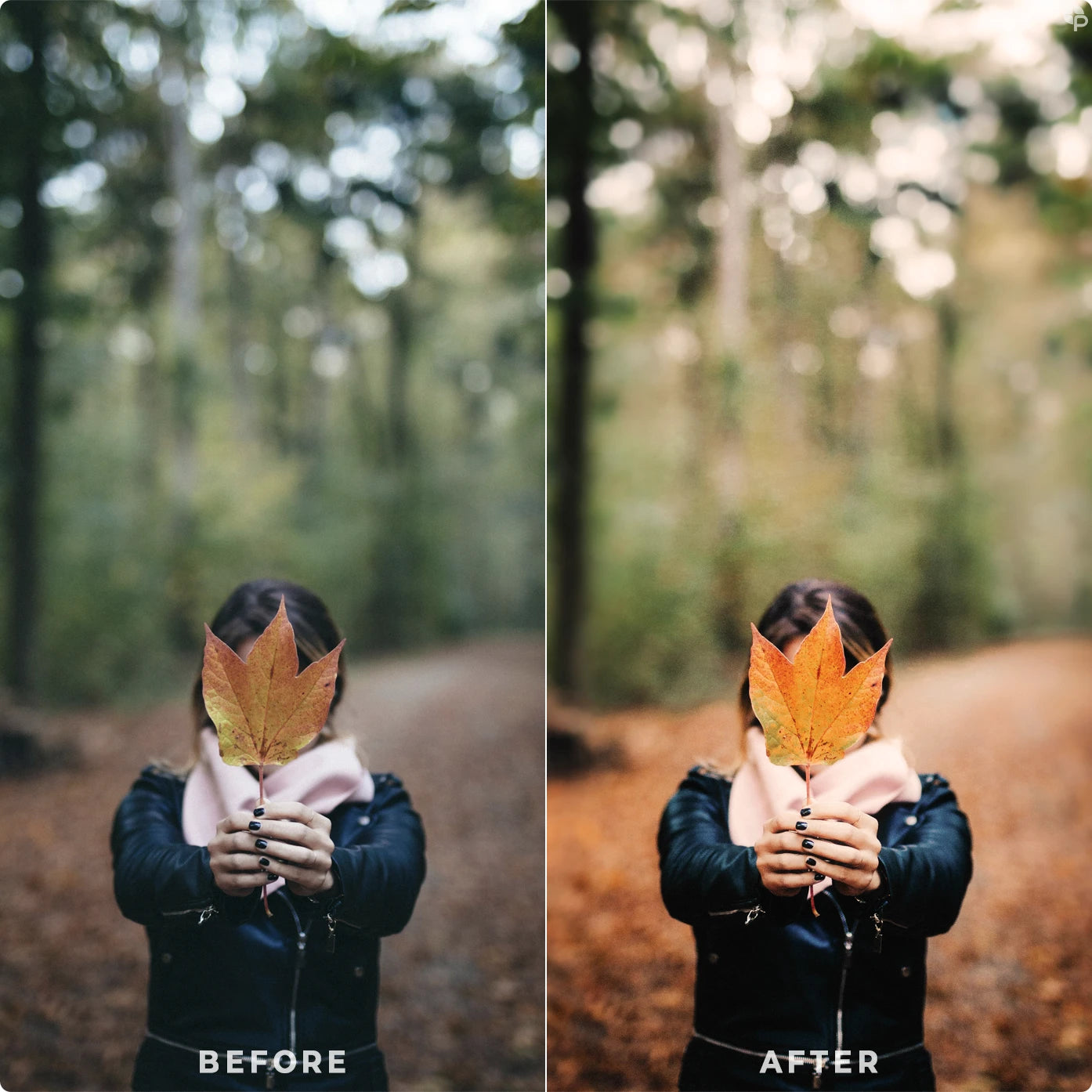 Pumpkin Spice | Lightroom Presets