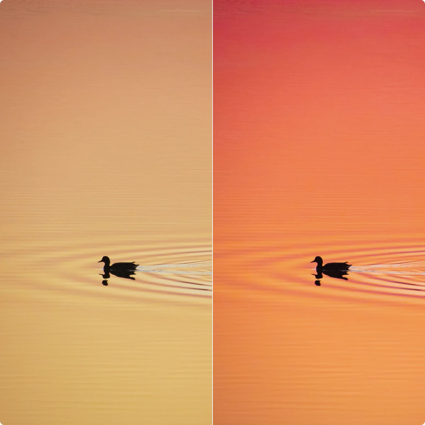 Red World | Lightroom Presets