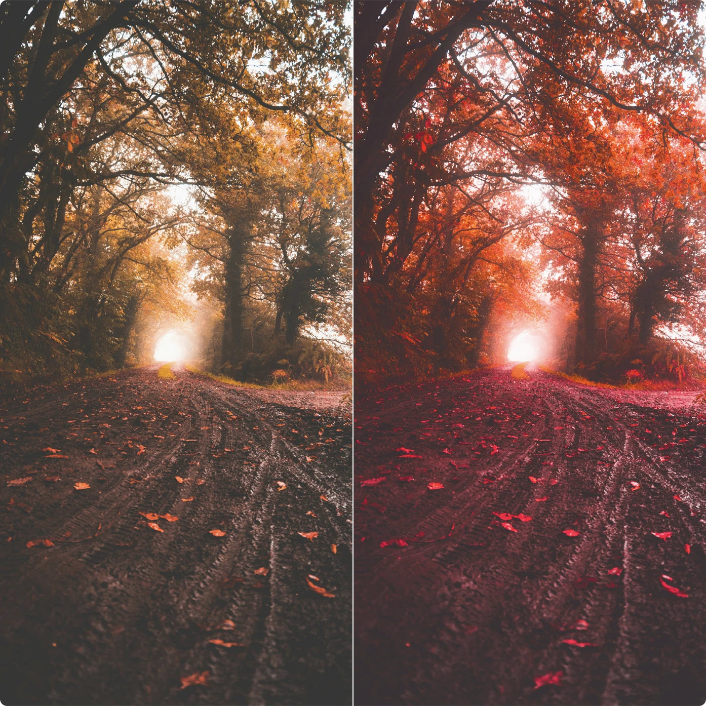 Red World | Lightroom Presets
