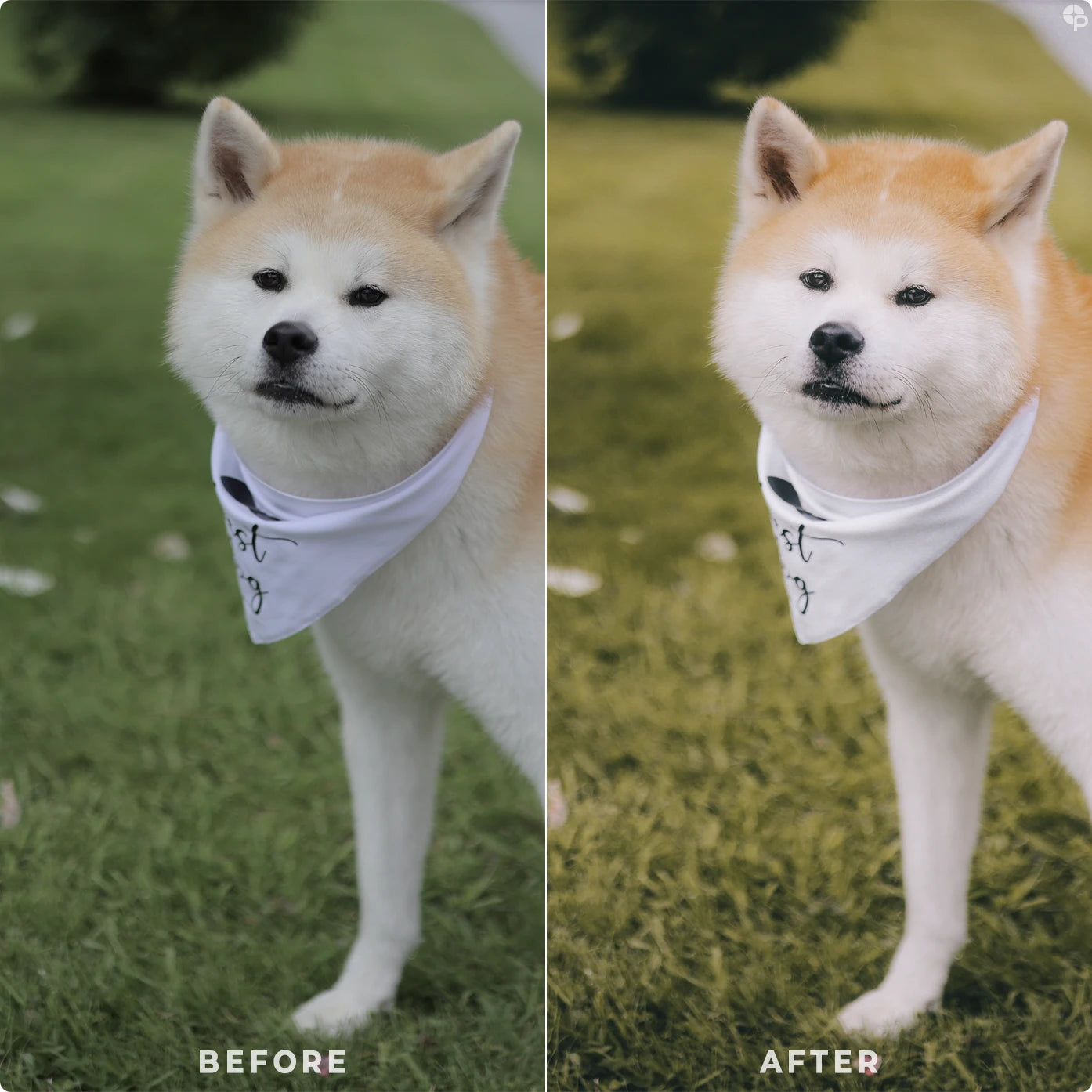 Rustic Green | Lightroom Presets