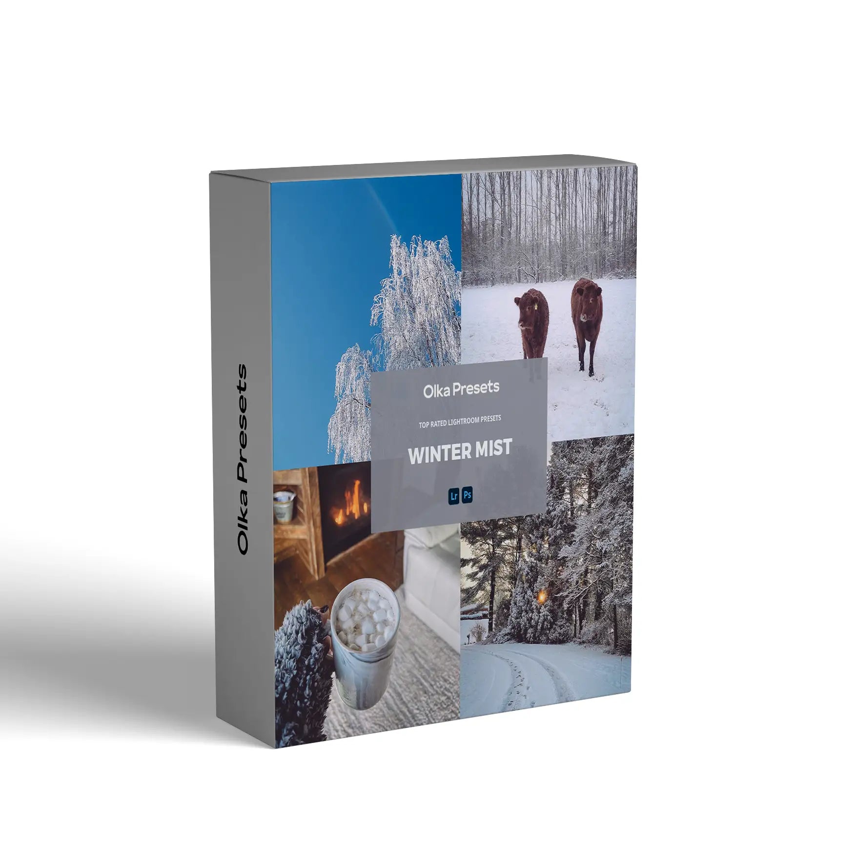 Winter Mist | Lightroom Presets