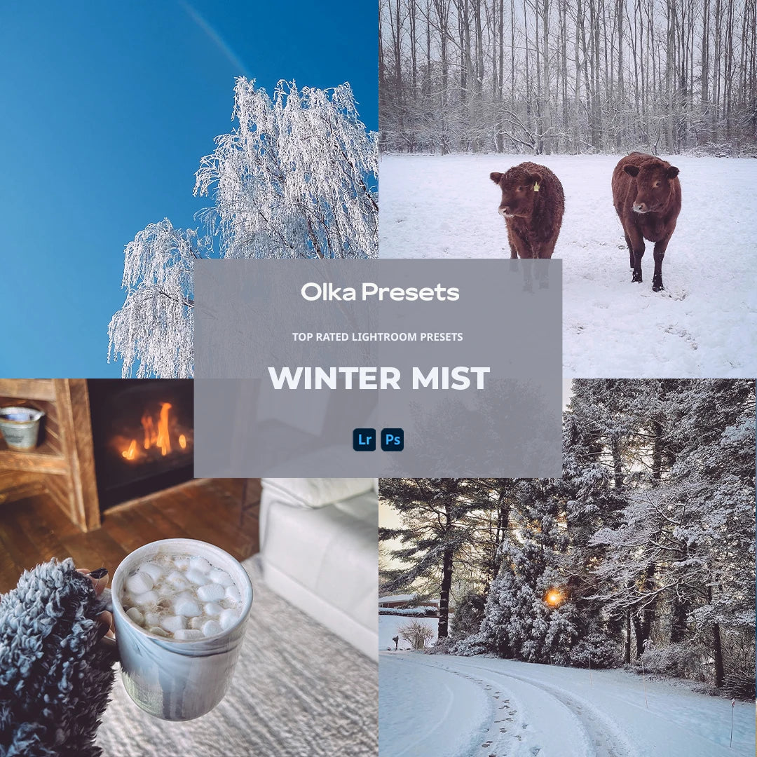 Winter Mist | Lightroom Presets